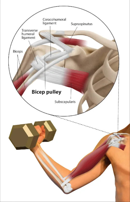 Prolotherapy for Shoulder Joint Mobile