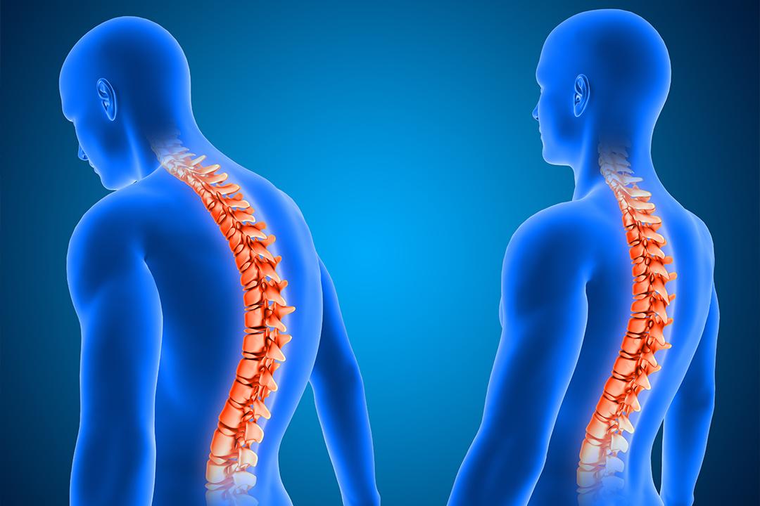 Top-Rated Chiropractors Near Victoria Station, London